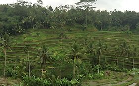 Pangkung House
